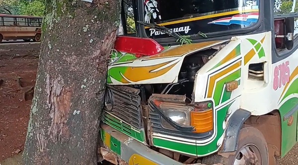 CDE: Bus chatarra pierde los frenos y choca contra un árbol dejando varios heridos - ADN Digital
