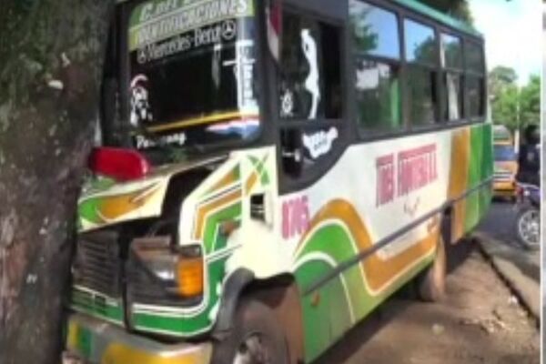 Bus chatarra chocó contra un árbol en CDE - SNT