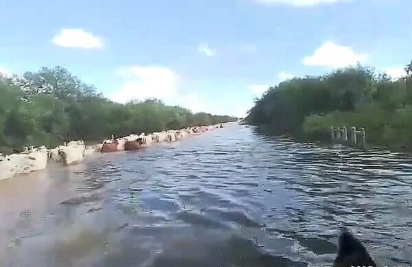 Envían ayuda humanitaria a familias afectadas por intensas precipitaciones en el alto Chaco - San Lorenzo Hoy