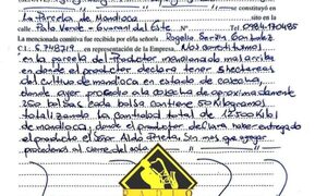 SENAVE confirma que carga de mandioca es legal