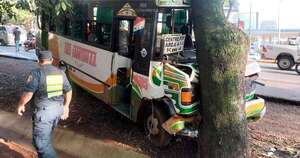 Diario HOY | Bus chatarra pierde los frenos y choca contra un árbol en CDE