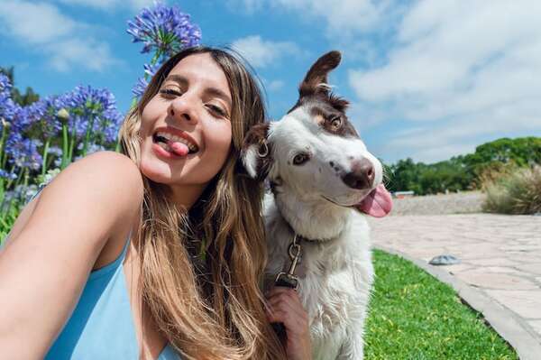 Video: ¡Mejorá tus fotos o videos con estos fondos y efectos en WhatsApp! - Tecnología - ABC Color