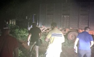 Incautan camión utilizado en asalto y robo de 22 animales vacunos