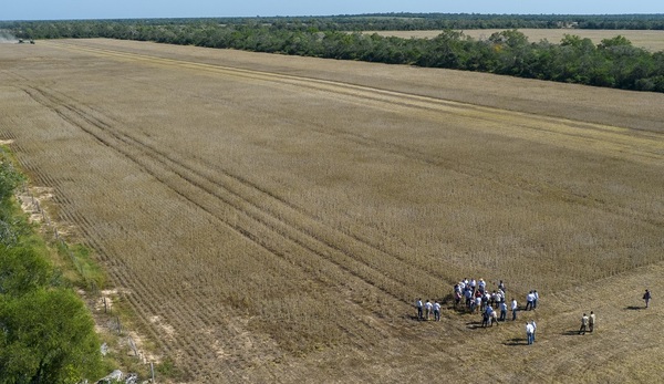 El mercado de campos en Paraguay tiene un gran potencial, especialmente en la zona del Chaco, destacan