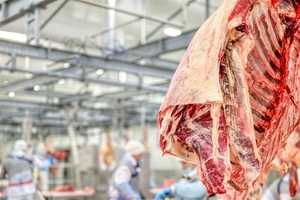 Paraguay incrementa exportaciones de carne bovina a US$ 318 millones en marzo
