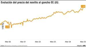 Escasez de carne en EE.UU.: cómo la crisis ganadera podría reconfigurar el mercado - Economía - ABC Color