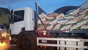 Liberan carga de mandioca que había sido incautada en Hernandarias - 1000 Noticias