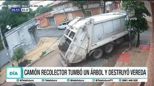 Camión recolector tumbó un árbol y destruyó una vereda en Asunción