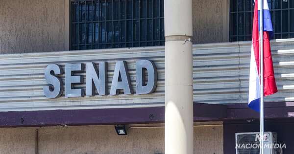 La Nación / Titular de Senad niega compra de equipos para espionaje político