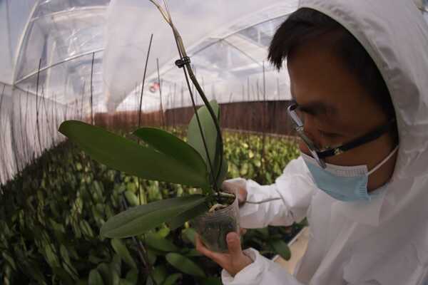 Paraguay y Taiwán exploran la incorporación de Inteligencia Artificial en la producción agrícola - .::Agencia IP::.