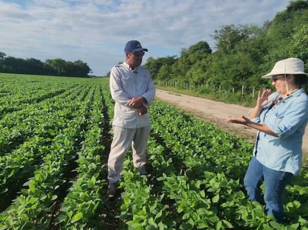 Cosecha de granos en riesgo debido a la falta de caminos en el Alto Paraguay - Noticias del Chaco - ABC Color