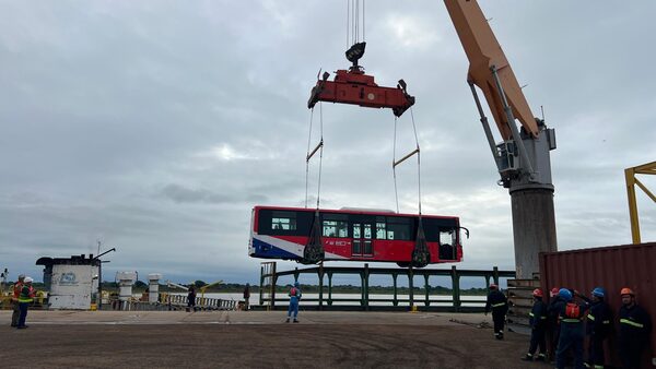 Se completan 30 unidades de buses eléctricos que se integrarán al sistema de transporte