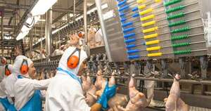 La Nación / Ingresos por envíos de productos avícolas crecieron 22 % en el primer trimestre