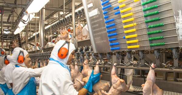 La Nación / Ingresos por envíos de productos avícolas crecieron 22 % en el primer trimestre
