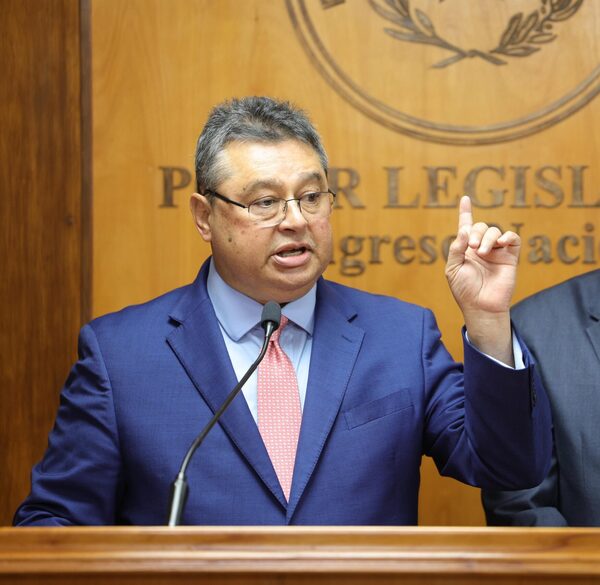 Presentan proyecto para crear el Ministerio de la Familia - El Trueno