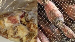 Concepción: Denuncian que echaron a cocinera de escuela por rechazar productos en mal estado