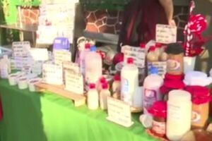 Feria de la Agricultura Familiar este jueves frente al SNT - SNT