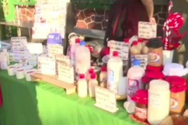 Feria de la Agricultura Familiar este jueves frente al SNT - SNT