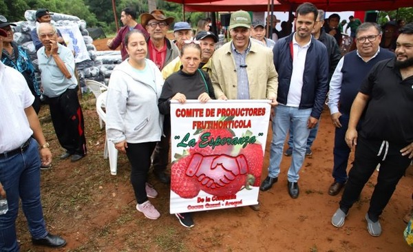 Con inversión de insumos y equipos, gobierno fortalece identidad y tradición frutillera de Areguá - ADN Digital