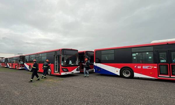 Habemus bus chuchón: llegaron los últimos 10 colectivos eléctricos que pronto entrarán en servicios