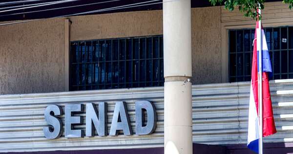 La Nación / Niegan compra de equipos para espionaje político