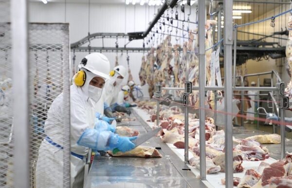 Faena de bovinos disminuyó en marzo