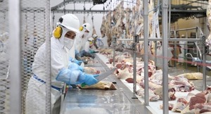 Paraguay avanza en la apertura de nuevos mercados para la carne