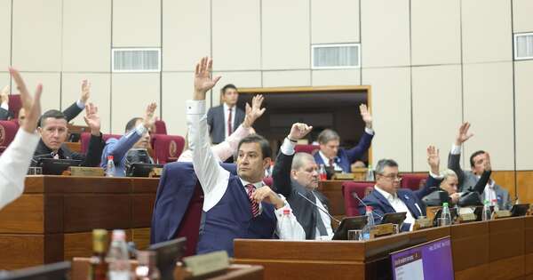 Diario HOY | Unificación de patentes: así quedó la ley modificada y sancionada