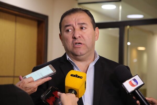 Ley que prohíbe uso de padrón nacional en alianzas electorales es "absolutamente arbitraria" - 1000 Noticias