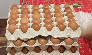 Inflación de marzo estuvo marcada por precio del huevo, carne y productos frutihortícolas