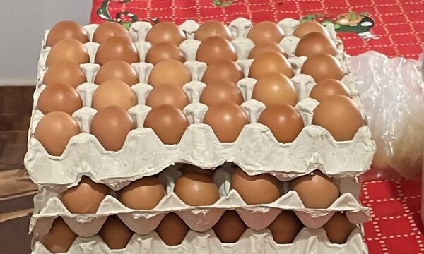 Inflación de marzo estuvo marcada por precio del huevo, carne y productos frutihortícolas