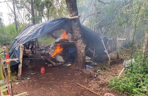 Incautan casi 7.000 kilos de marihuana y anulan base de producción narco en Capitán Bado - .::Agencia IP::.