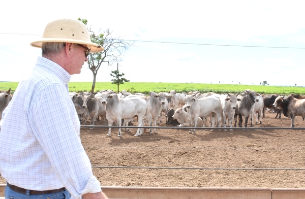 Reducción del hato ganadero estadounidense podría ser una oportunidad para exportadores paraguayos - 1000 Noticias