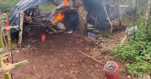 Diario HOY | Anulan campamento narco y destruyen toneladas de marihuana en Capitán Bado