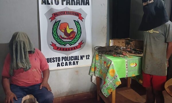 Detienen a dos personas por hurto agravado y reducción en CDE – Diario TNPRESS