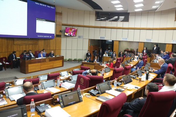 Senado aprobó cambios a la ley de concertaciones - El Trueno
