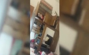 Trabajador sorprende a ladrones en su casa y evita robo mayor - SNT