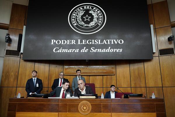 Crean comisión unicameral para analizar revisión del Anexo C luego de polémica con Brasil - 1000 Noticias