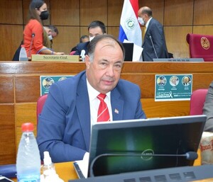 Juan Afara buscaría postularse a la presidencia de la ANR - El Trueno