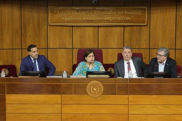 DNCP levanta suspensión del llamado a licitación para compra de máquinas de votación - Política - ABC Color