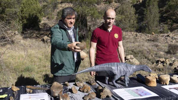 Identifican en Portugal nuevo espécimen de dinosaurio que vivió hace 150 millones de años