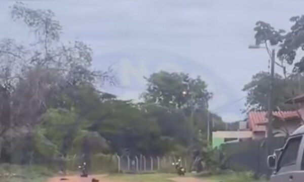 (VIDEO)Enjambre de avispas atacaron a alumnos de una escuela y quedaron mochilas esparcidas en la calle