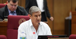 El PLRA no descarta expulsar a Pakova por apoyar la reforma a la ley de concertación