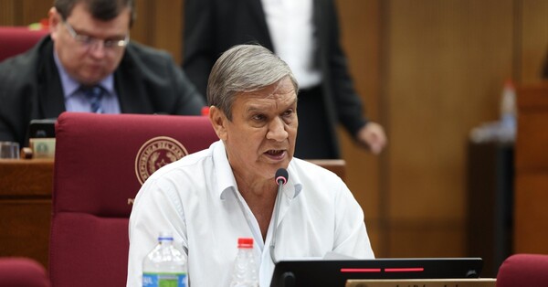 El PLRA no descarta expulsar a Pakova por apoyar la reforma a la ley de concertación
