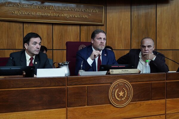 Tema Itaipu dividió a los legisladores paraguayos