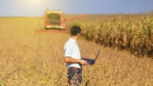 Productores aguardan una buena zafriña de maíz para cubrir las deudas | Agronegocios | 5Días