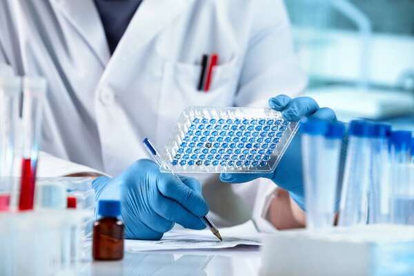 Proyectan crecimiento de hasta 20% en exportaciones para 2025 - Negocios - ABC Color