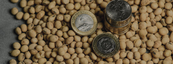 Comercio exterior: Paraguay exporta menos, y solo la caída del commodity agrícola causó la pérdida de USD 140 millones - MarketData