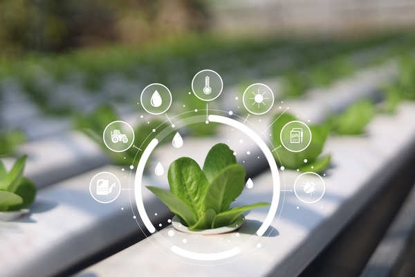 Taiwán y Paraguay buscan minimizar riesgos en producción agrícola  mediante uso de inteligencia artificial - MarketData