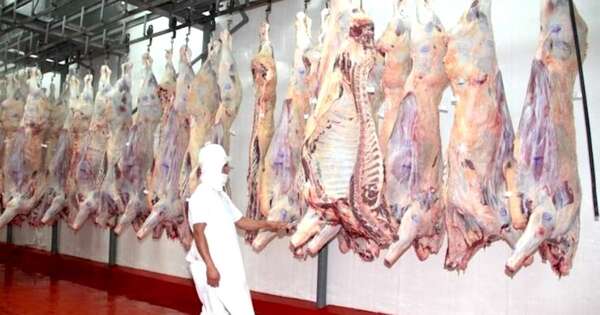 La Nación / Paraguay podría sacar provecho de la merma en ganadería estadounidense
